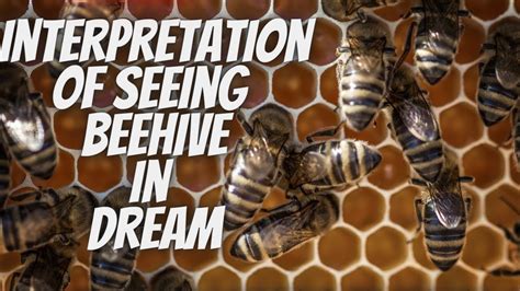 The Role of Beehives in Dream Interpretation