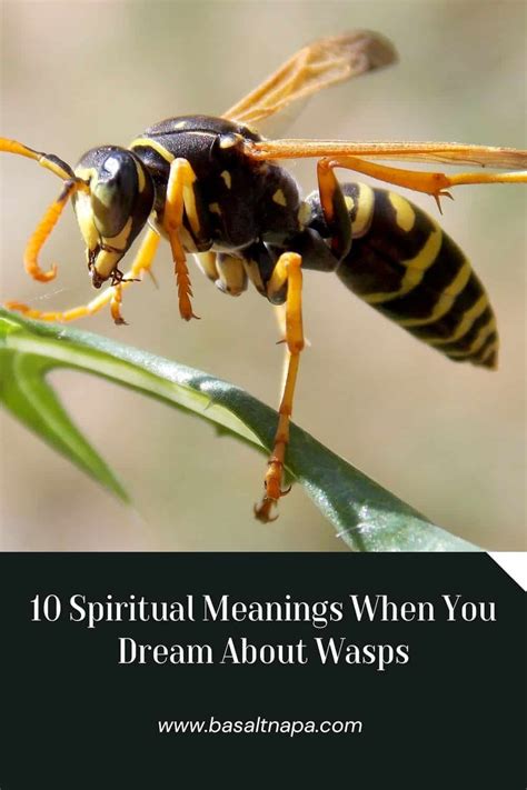 The Role of Fear in Dreaming About Wasps