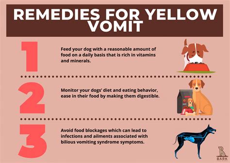 The Role of Food and Diet in Experiencing Yellow Vomit Dreams