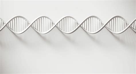 The Role of Genetics in Determining Your Figure: Myth or Reality?