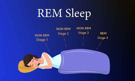 The Role of REM Sleep in Dream Formation