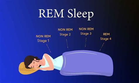 The Role of REM Sleep in Infant Dreaming