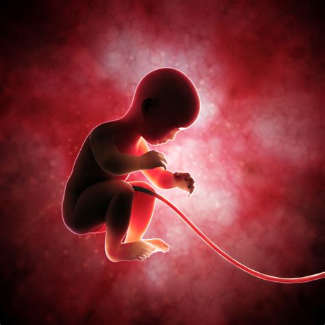 The Role of Reveries in Establishing a Connection with the Unborn Child's Essence