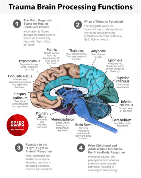 The Role of Suffocating Dream Experiences in the Processing of Trauma