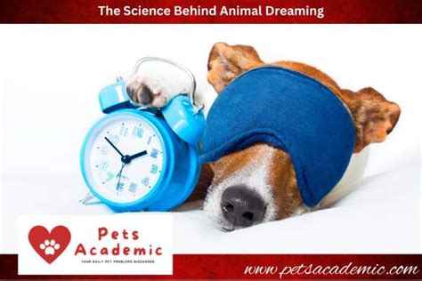 The Science Behind Animal Dreaming