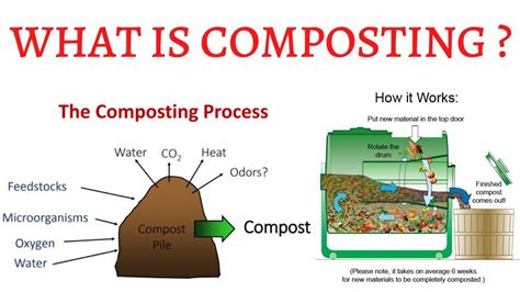 The Science Behind Composting Animal Waste