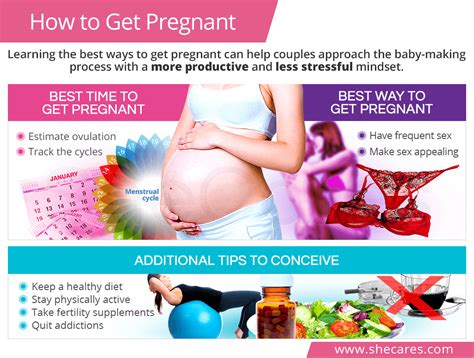 The Science Behind Creating an Optimal Environment for Pregnancy