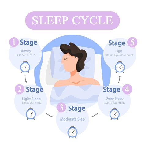 The Science Behind Dream Timing and Sleep Cycles