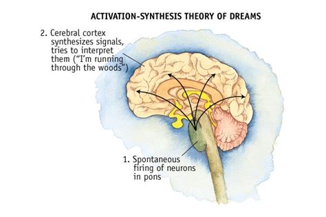 The Science Behind Dreaming: How Neurological Processes Influence the Manifestation of Disruptive Violent Dreams