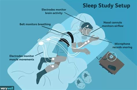 The Science Behind Dreaming: Revealing the Mechanisms of the Mind