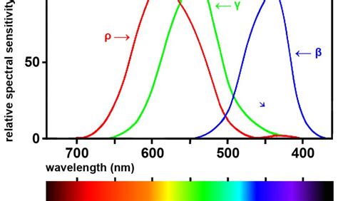 The Science Behind Enigmatic Tunes