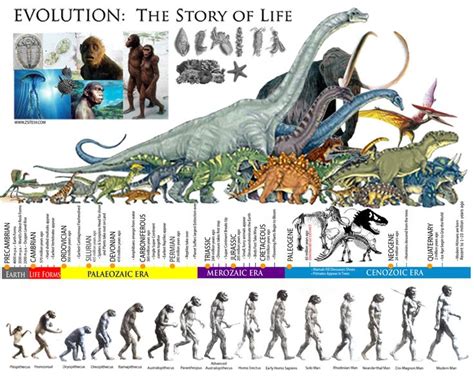 The Science Behind It: Why Do We Envision Prehistoric Eras in our Dreams?