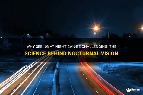 The Science Behind Nocturnal Imagination