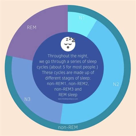 The Science Behind Sleep: Understanding the Sleep Cycle and its Stages