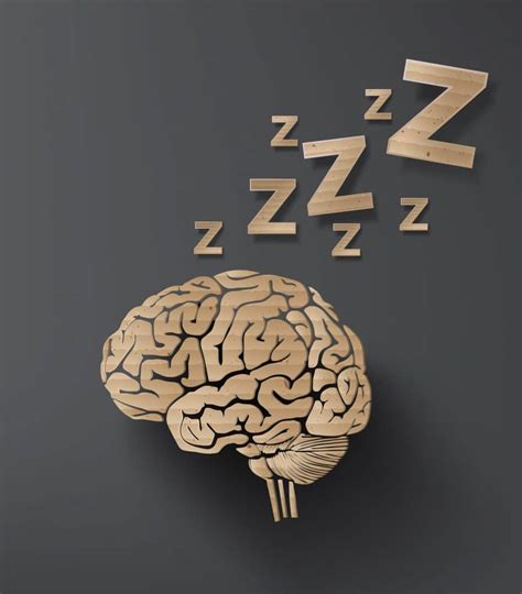 The Science Behind Sleep: Unlocking the Enigma of the Slumbering Mind