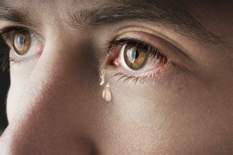 The Science Behind Tears: Discovering the Biological Importance