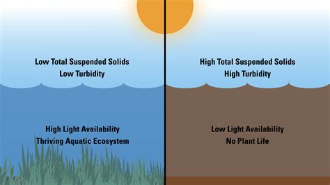 The Science Behind the Turbidity: Understanding Hazy Aquatic Environments