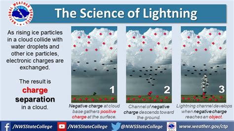 The Science behind Lightning-Fast Sprints