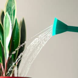 The Science of Hydration: How Watering Implements Foster Plant Vitality