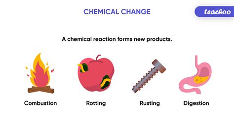 The Science of Proximity: Understanding the Chemical Reactions Associated with Physical Companionship