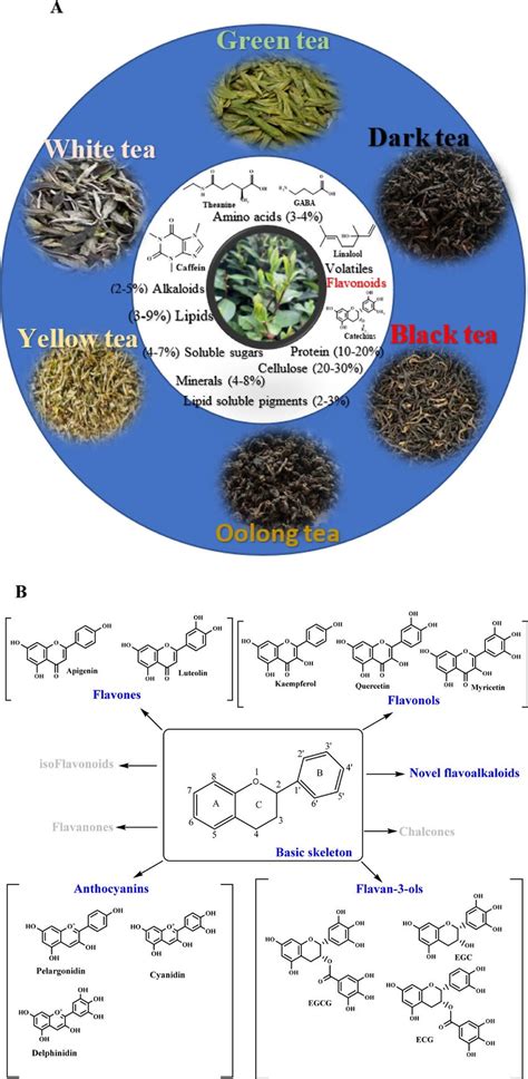 The Science of Tea: Understanding the Chemical Components