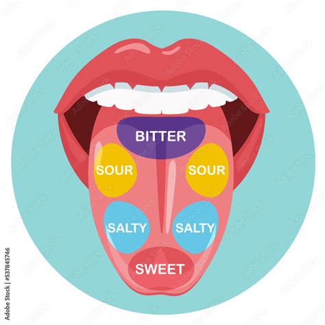 The Sense of Taste in Dreams: What Does It Symbolize?