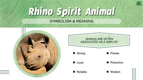 The Significance and Influence of Rhino Symbolism