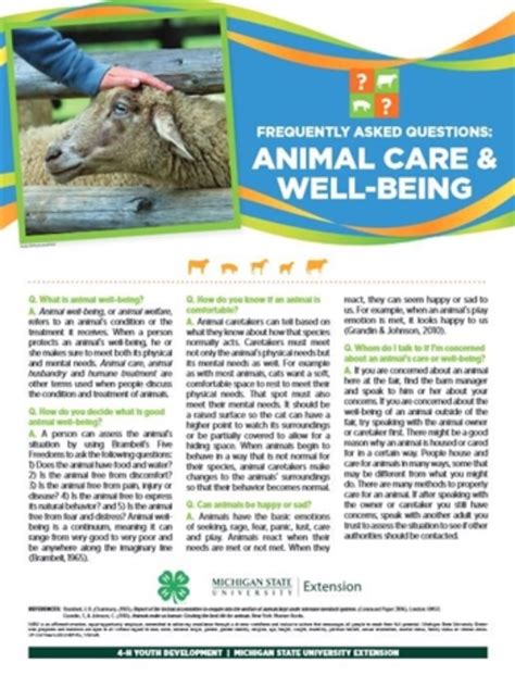 The Significance of Animal Well-being