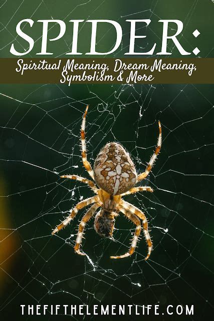 The Significance of Arachnids in Dream Analysis