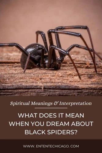 The Significance of Arachnids in Dreamland