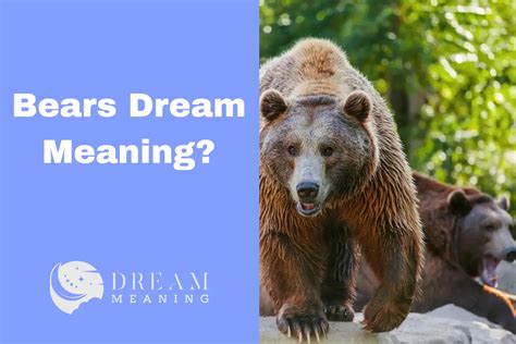 The Significance of Bears in Dream Interpretation