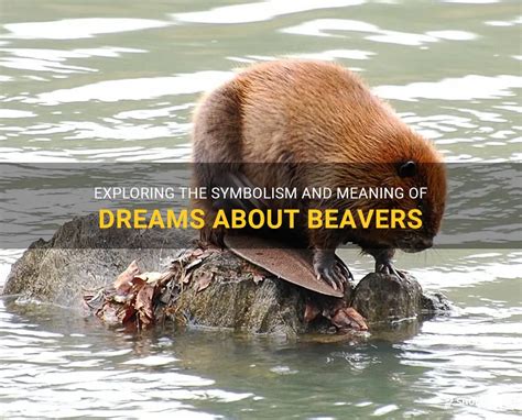 The Significance of Beavers in Dream Imagery