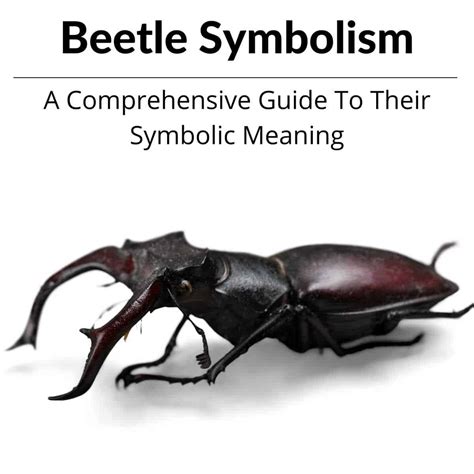 The Significance of Beetle Symbolism in Ancient Mythology and Folklore