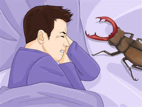 The Significance of Beetles in Dream Interpretation