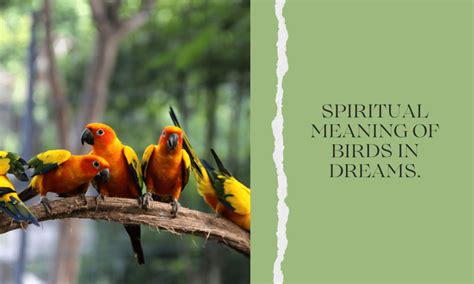 The Significance of Birds in Dreams