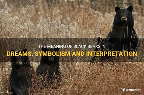 The Significance of Black Bears in Dream Symbolism