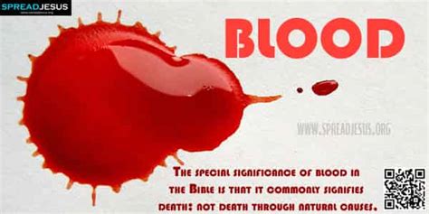 The Significance of Blood: Exploring its Symbolic Meaning