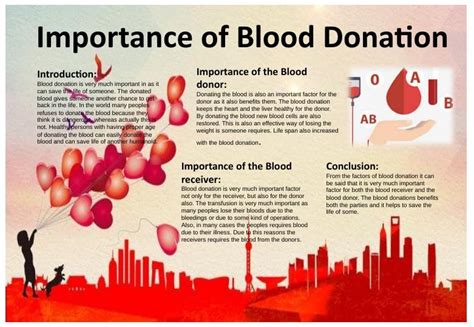 The Significance of Blood Donation Dreams Explored