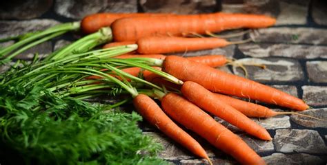 The Significance of Carrots as a Symbol of Development and Transformation in Dreams