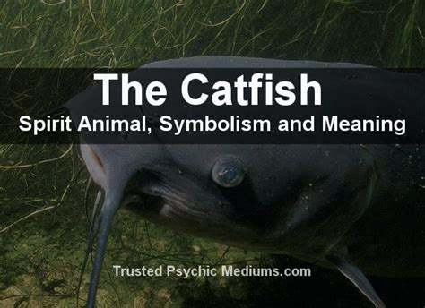 The Significance of Cat Fish Symbolism in Subconscious Imagery