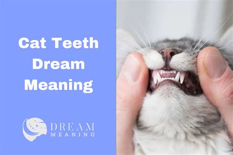 The Significance of Cat Teeth in Symbolic Dreams