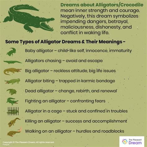 The Significance of Context in Deciphering Alligator Dreams