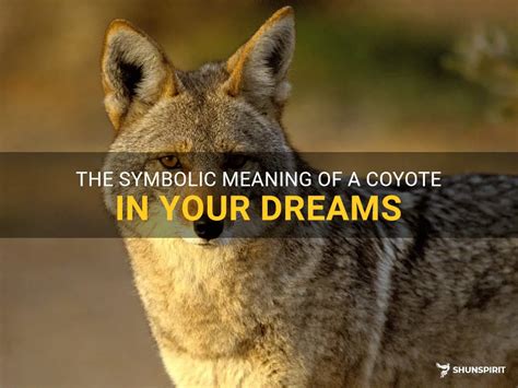 The Significance of Coyotes in Dreams