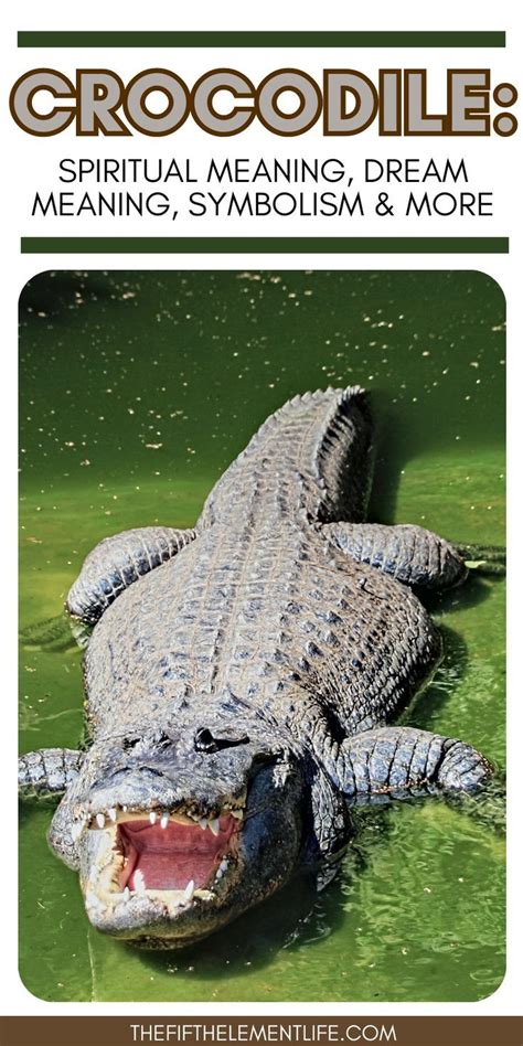 The Significance of Crocodile Dreams in Different Cultures