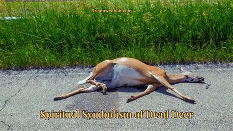 The Significance of Deer in Interpreting Dreams: Unraveling its Impactful Symbolism