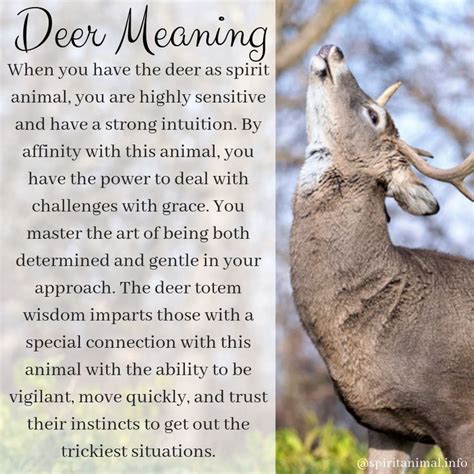 The Significance of Deer in Poetry