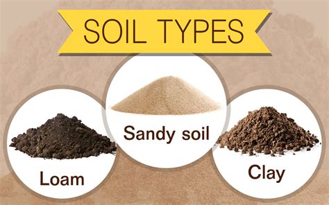 The Significance of Different Types of Soil in Dream Interpretation