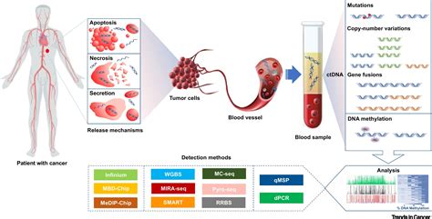 The Significance of Dream Analysis in Early Detection of Cell Abnormalities