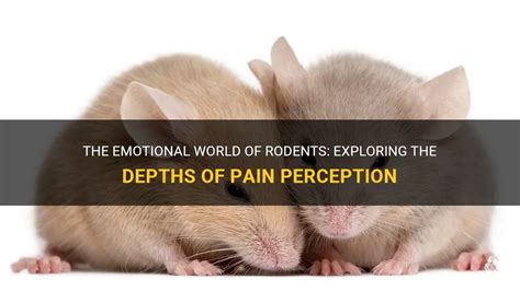 The Significance of Dreaming About Dark Infant Rodents: Exploring the Psychological and Emotional Implications