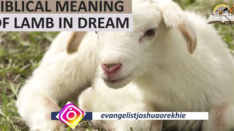 The Significance of Dreaming about Birthing a Lamb